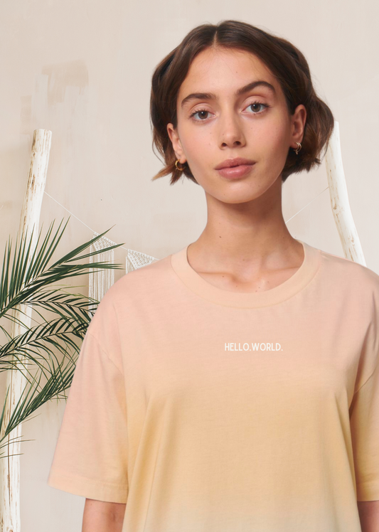 Hello.World. - Relaxed Shirt Ombre mit Stick